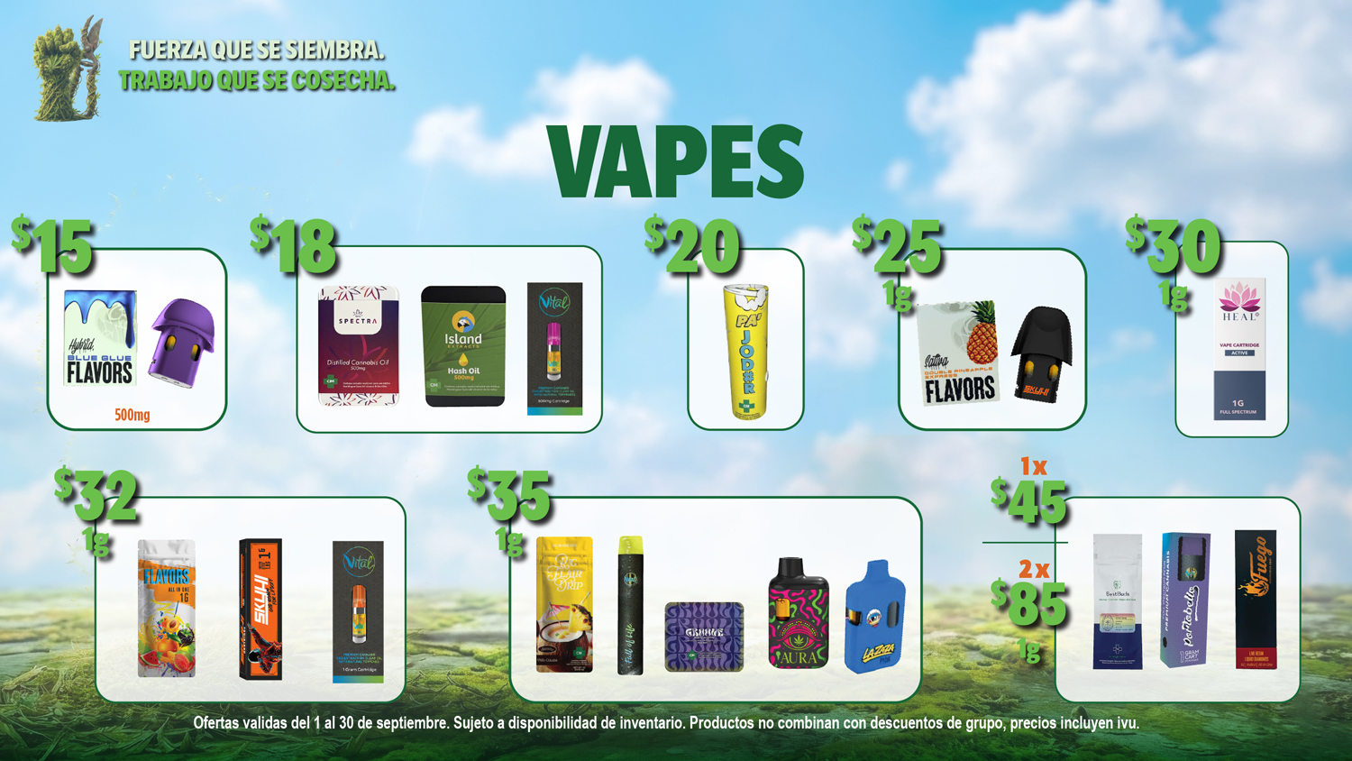 Ofertas Bwell Septiembre - Monitores