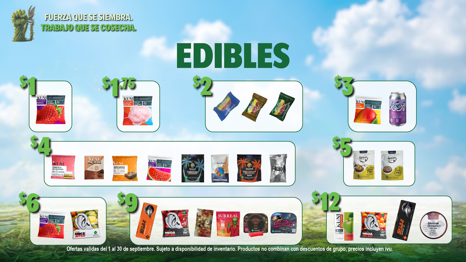 Ofertas Bwell Septiembre - Monitores