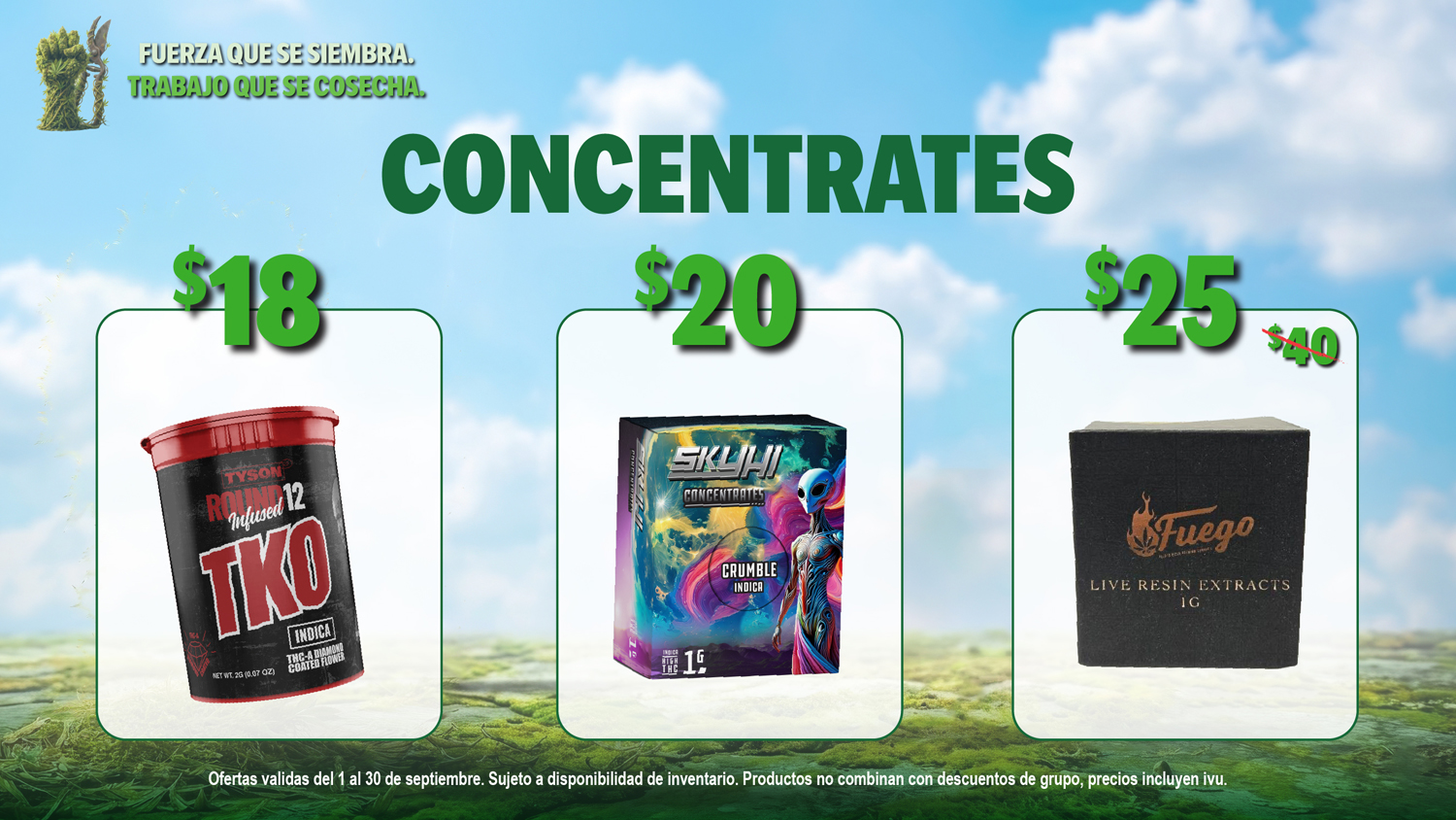 Ofertas Bwell Septiembre - Monitores