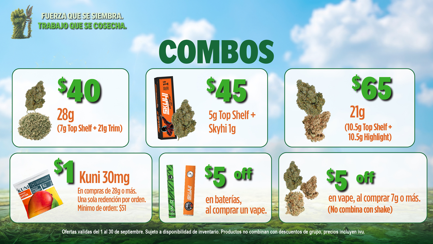 Ofertas Bwell Septiembre - Monitores